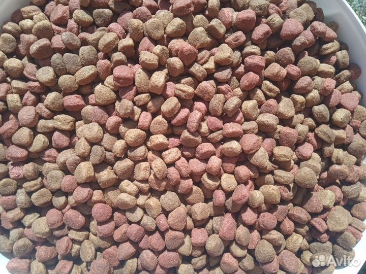 Сухой корм для собак