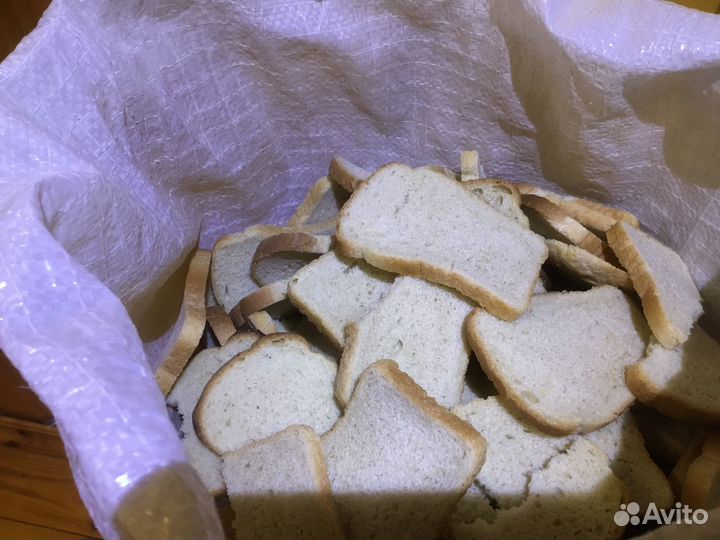 Товары для животных