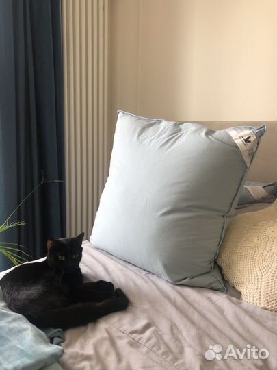 Пуховые подушки 68х68