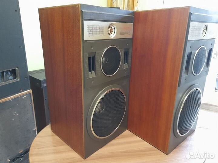 Колонки Вега 25ас - 109 - 2