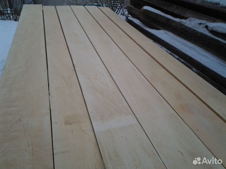 Берёза сухая