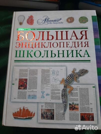 Школьная литература