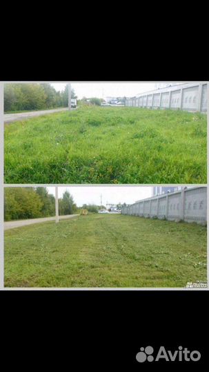 Покос травы