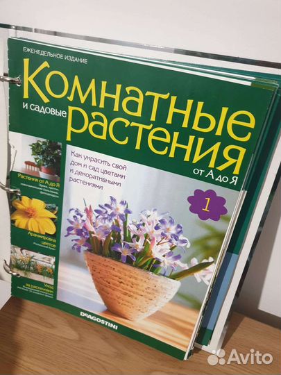 Энциклопедия комнатных растений и цветов