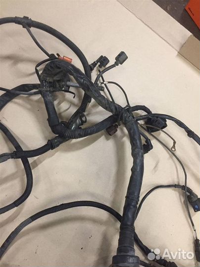 Жгут проводов двигателя Audi A4 (B7) 2005-2007