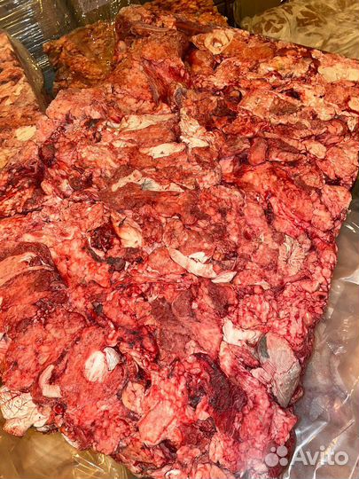 Корма для животных