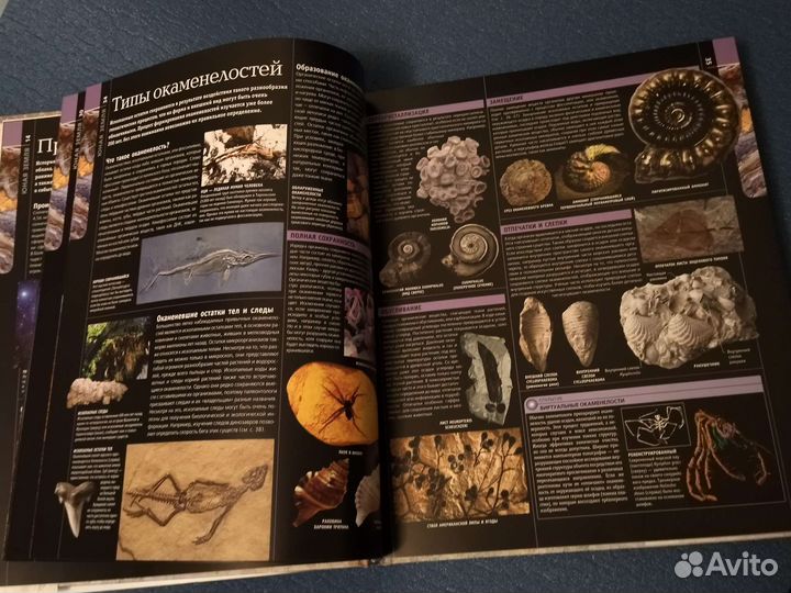 Книга Развитие жизни на земле