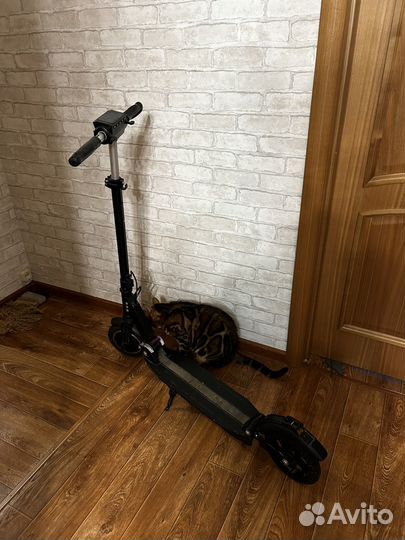 Электросамокат kugoo s3