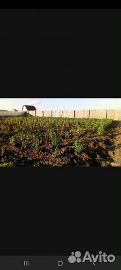 Навоз перегной в мешках