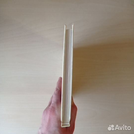 Петрова Ирина - Луганский Дневник. 2014-2021