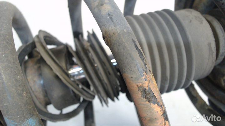 Амортизатор подвески Nissan Primera P12, 2006