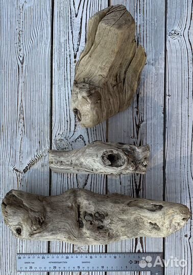 Дрифтвуд морские коряги