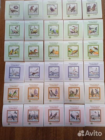 Чистые блоки фауна