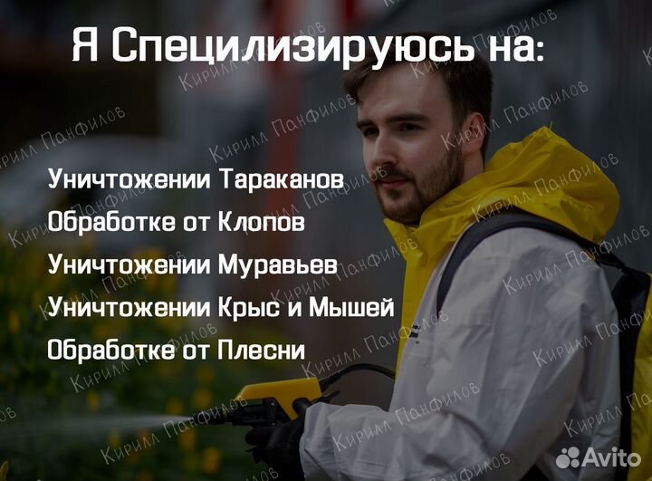 Уничтожение клопов и тараканов в Петергофе и ло