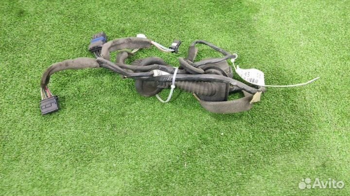 Проводка двери задняя левая Renault Megane 3