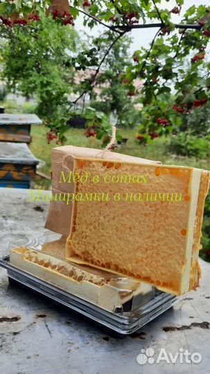 Мёд,Мёд в сотах,орехи с медом,подарочные наборы