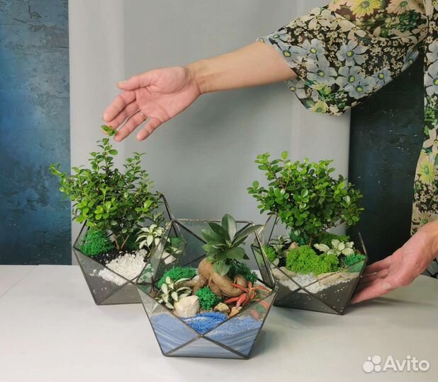 Флорариумы с бонсаями в наличии