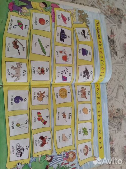 Bravo Starter (Pupii