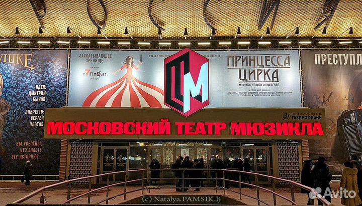 Билеты в театр Мюзикла