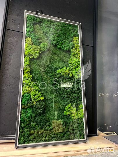 Панно из мха с подсветкой со стеклом