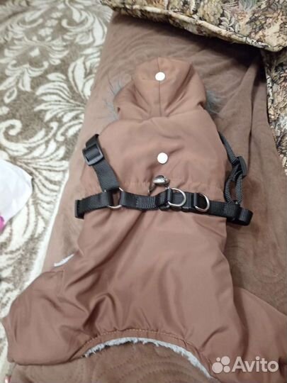 Зипний комбенизон для маленьких собак