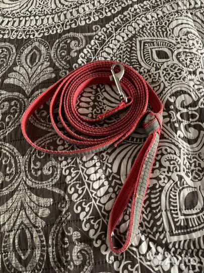 Поводок с ошейиком для собаки