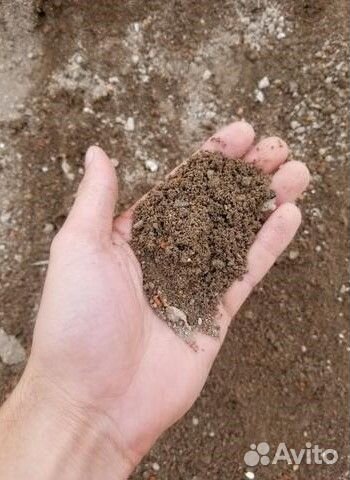 Пескогрунт