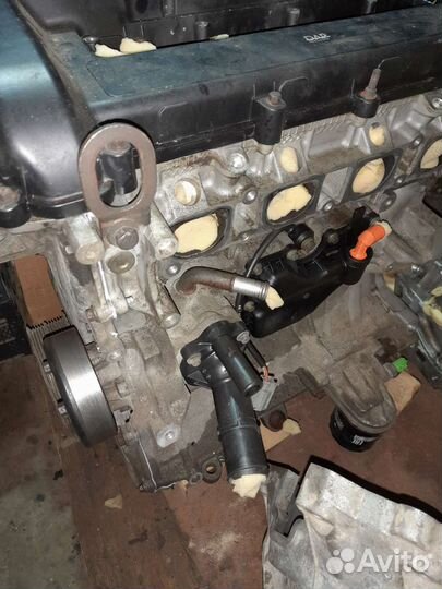 Форд Фокус 2 двигатель 1.8 qqdb разборка