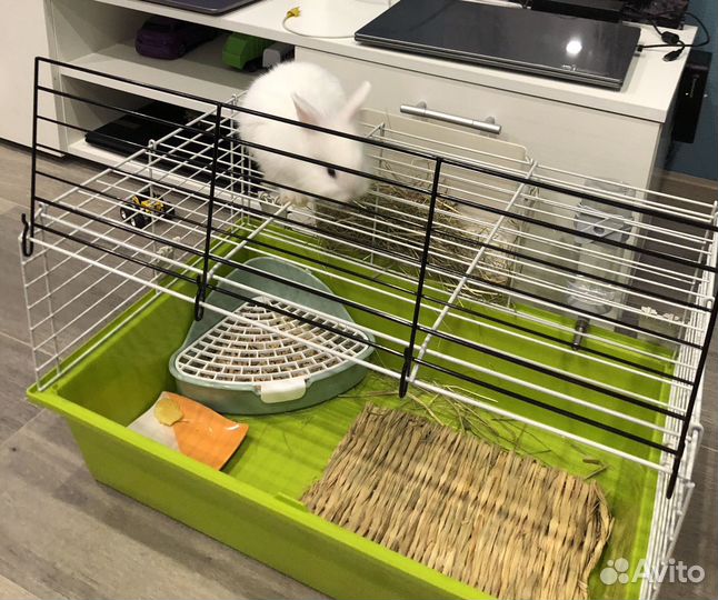 Клетка для кролика
