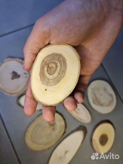 Спилы дерева