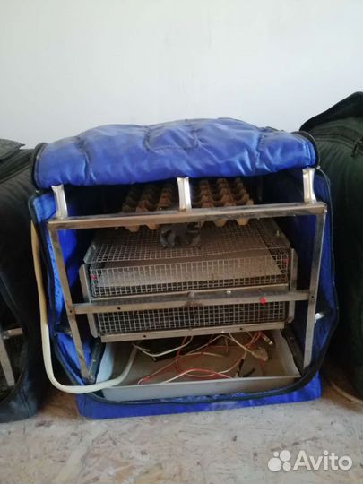 Инкубатор для яиц тгб 140