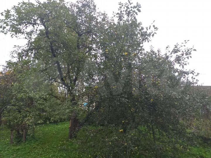 2-к. квартира, 33,4 м², 1/1 эт.