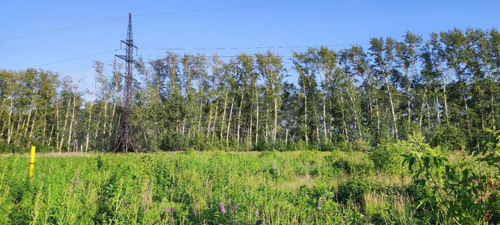 Участок 15 сот. (ИЖС)