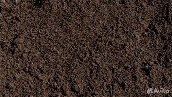 Чернозем Плодородная земля