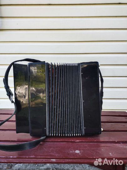 Баян тульский