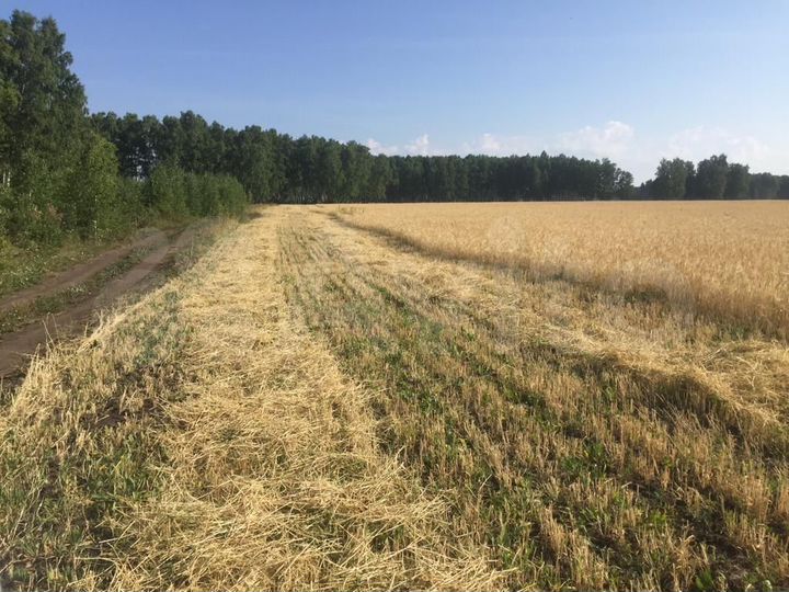 Участок 12,47 га (СНТ, ДНП)