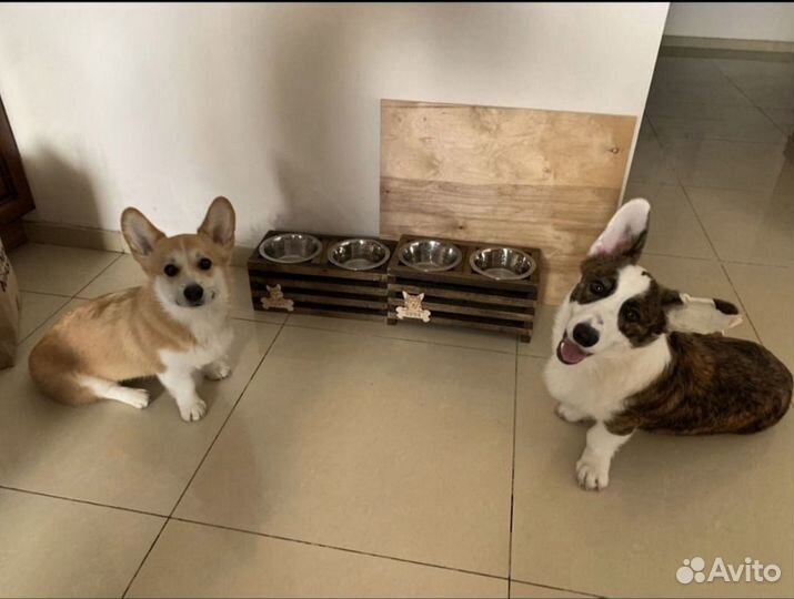 Миски на подставке для собак