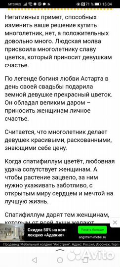 Спатифилум, женское счастье