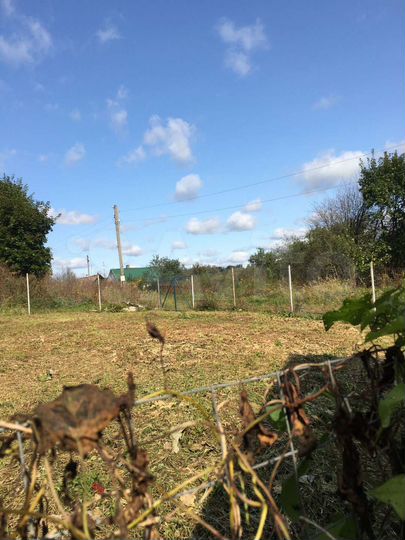 Участок 10 сот. (ИЖС)