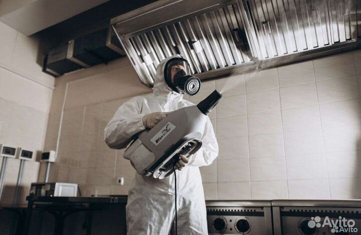 Уничтожение клопов тараканов блох мышей муравьев