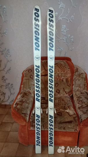 Горные лыжи