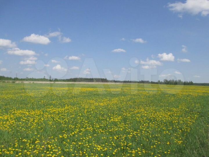 Участок 6 га (СНТ, ДНП)