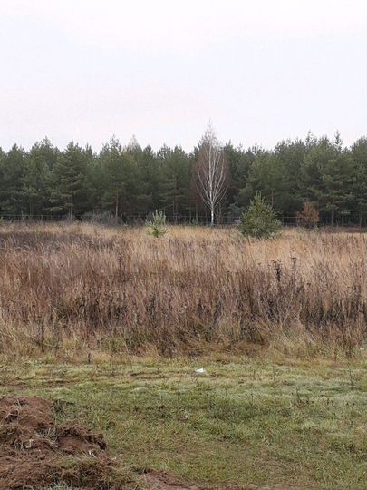 Участок 10 сот. (СНТ, ДНП)