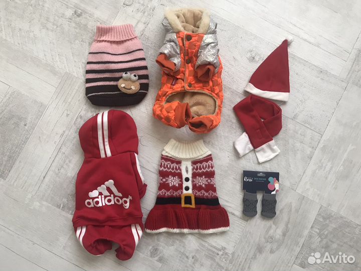 Носки для собак