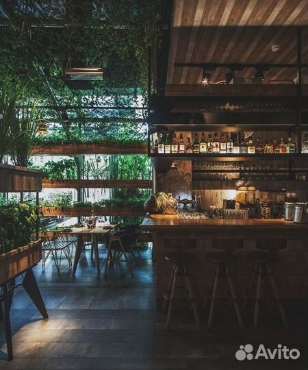 Готовый бизнес кофейня Палитра Бали