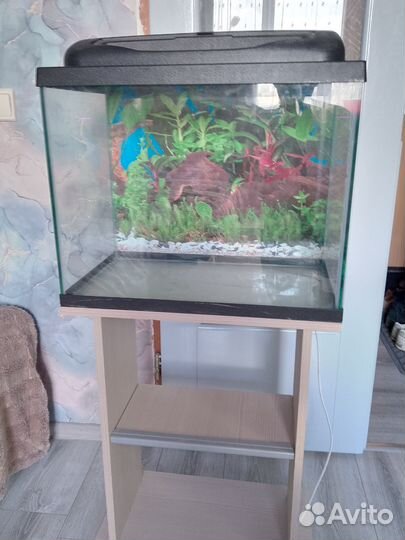Аквариум 60л б/у