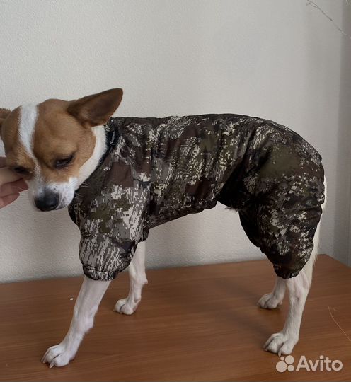 Костюмы для маленьких собак дем.сезон/зима