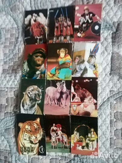 Календарики СССР. Цирк 1981-1989, Укррекламфiльм