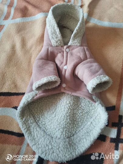 Одежда для средних собак