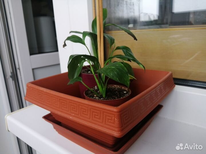 Горшок для цветов